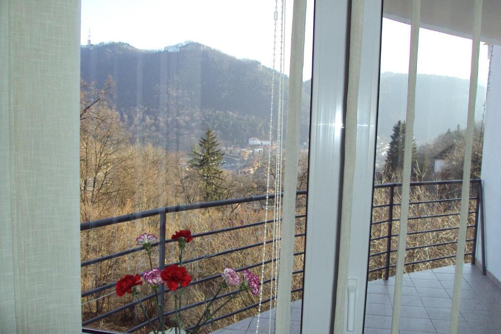 Pensiunea Warthe Bed & Breakfast Brașov Exterior foto