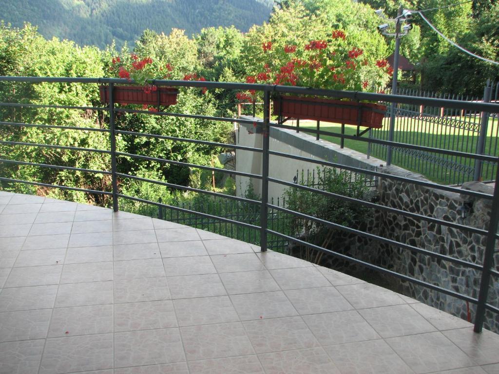 Pensiunea Warthe Bed & Breakfast Brașov Exterior foto