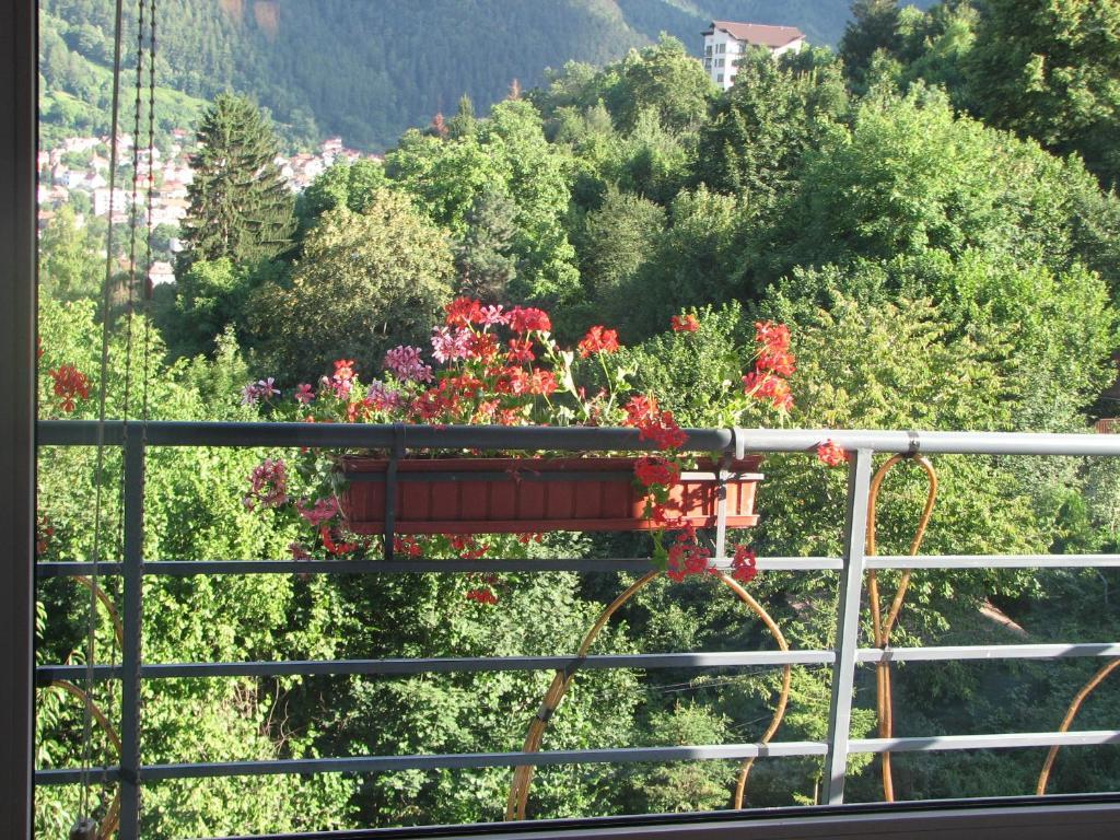 Pensiunea Warthe Bed & Breakfast Brașov Exterior foto