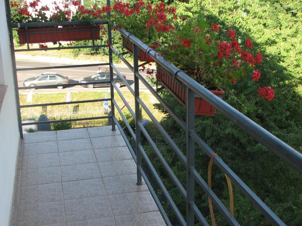 Pensiunea Warthe Bed & Breakfast Brașov Exterior foto