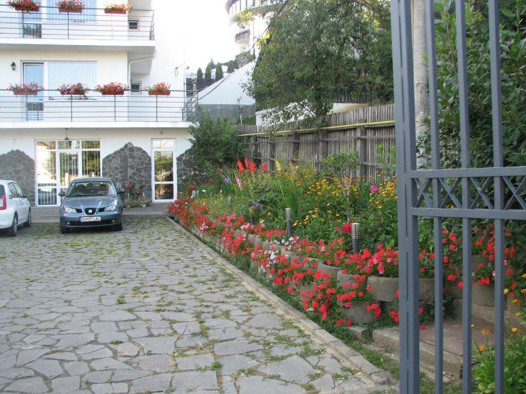Pensiunea Warthe Bed & Breakfast Brașov Exterior foto