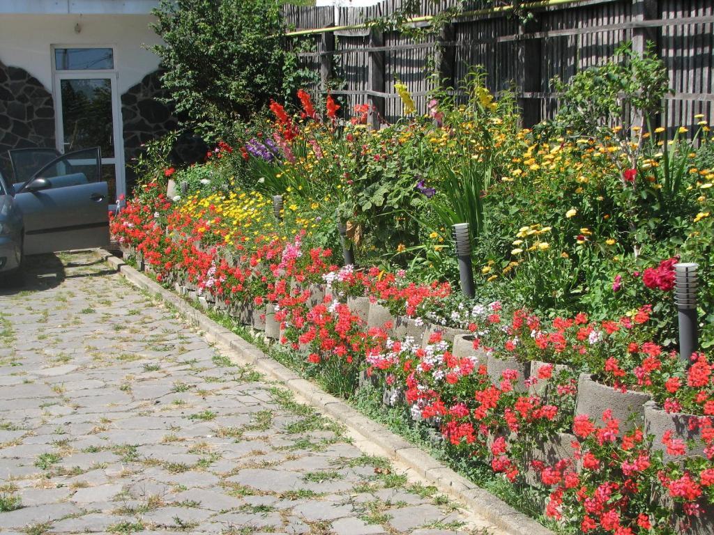 Pensiunea Warthe Bed & Breakfast Brașov Exterior foto