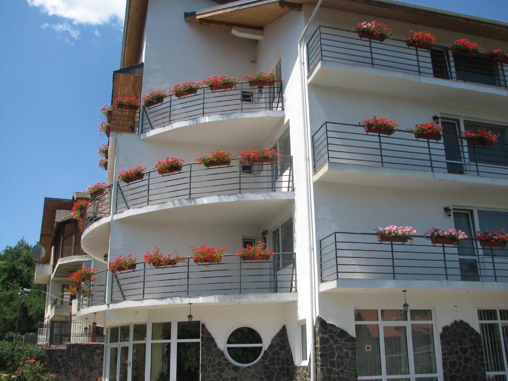 Pensiunea Warthe Bed & Breakfast Brașov Exterior foto
